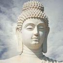 Buddha Ringtones APK