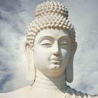 Buddha Ringtones-icoon