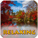 Relaxing Music (The Best) Free Radio Online APK
