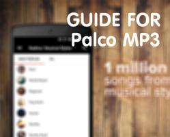 Guide for Palco MP3 screenshot 1