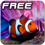 Aqua World 3D Live Wallpaper