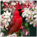 soundboard Cardeal APK