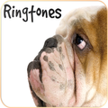 Dog Ringtones