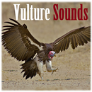 Vulture sounds APK