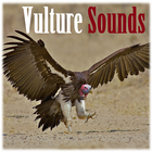 Vulture geluiden-icoon