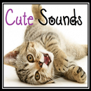Kitten sounds APK