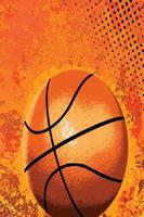 Basketball Sound FX 截图 1