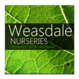 Weasdale иконка