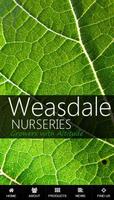 Weasdale постер
