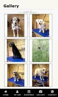 Barks and Bubbles screenshot 1