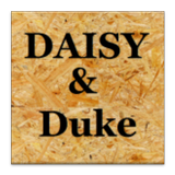 DAISY AND DUKE icono