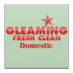 Gleaming Fresh Clean Domestic