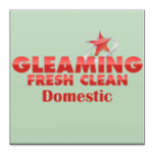 Gleaming Fresh Clean Domestic آئیکن