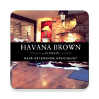 Havana Brown 图标