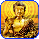 Gautam Buddha HD Wallpapers APK