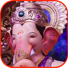 Lalbaugcha Raja Wallpaper App-icoon