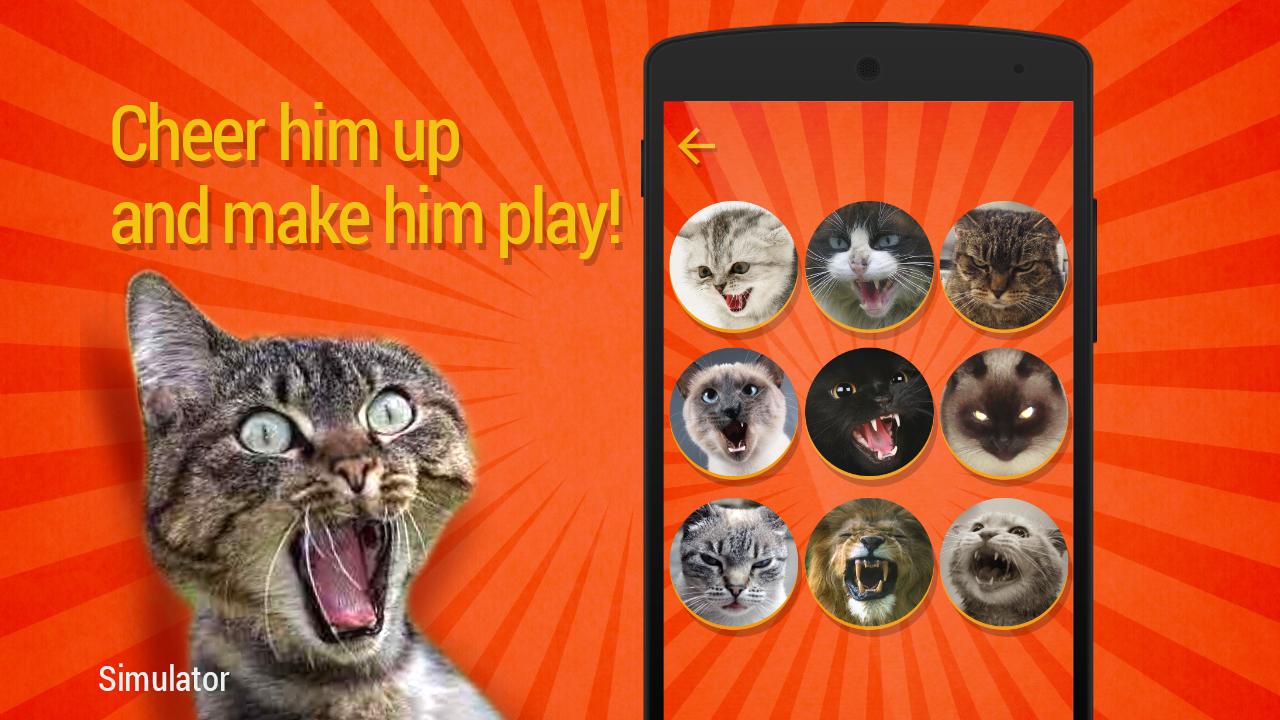 Игры звуки котов. Звук кота для кошки. Дразнить кошку приложение. Кошачий разговорник. Разговорник с котом.