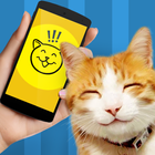 Cat Phrasebook Simulator-icoon