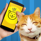 آیکون‌ Cat Phrasebook Simulator