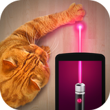 Laser for cat. Simulator