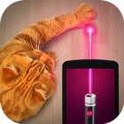 Laser voor de kat. Simulator-icoon