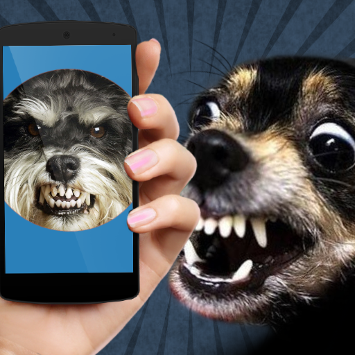 Дразнить Собаку: Звуки