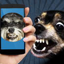 Dog Teaser: Sounds APK