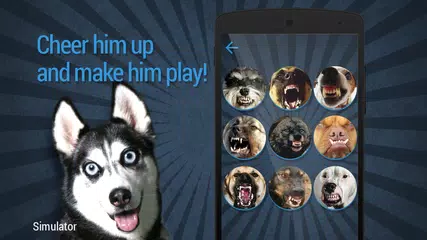 Скачать Дразнить Собаку: Звуки APK