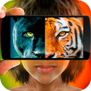 Hewan scanner: Hutan APK