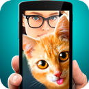 Selfie photo with cat APK