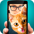 Selfie photo with cat Zeichen