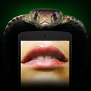 Snake Speech Simulator APK