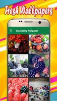 Blackberry Wallpapers plakat