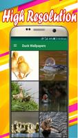 Duck Wallpapers screenshot 1