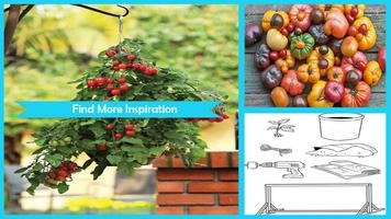 Easy DIY Growing Tomatoes Seedling capture d'écran 1