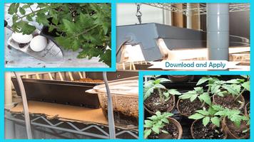 Easy DIY Growing Tomatoes Seedling capture d'écran 2