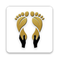 FrezzFit