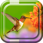 Birds Live Wallpaper simgesi