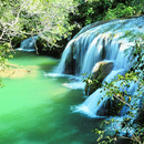 APK Natural WaterFall Photo