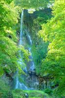 Natural WaterFall Photo capture d'écran 1