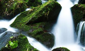 Natural WaterFall Photo capture d'écran 3