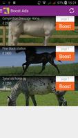 Horsemart Screenshot 3