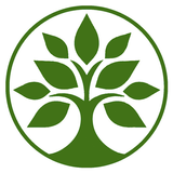 Green Event icon