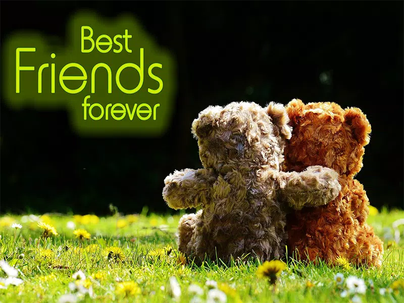 best friends forever photography