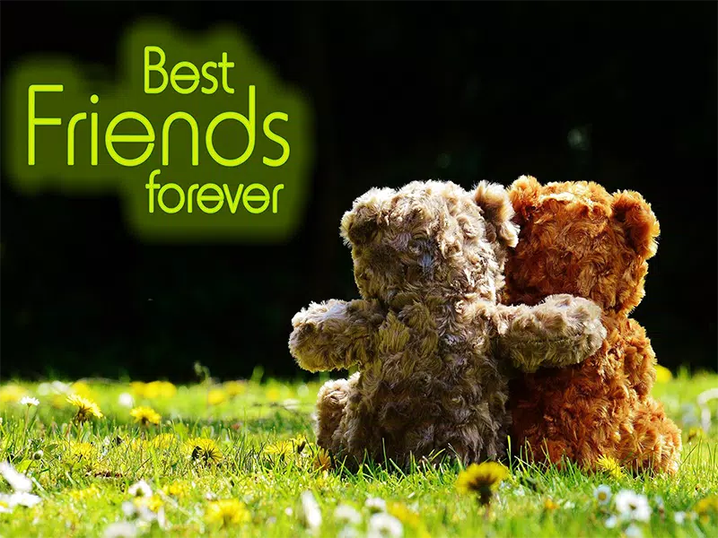 Best friend forever Photo frame effect