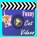 Cat Videos APK