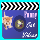 Cat Videos icon