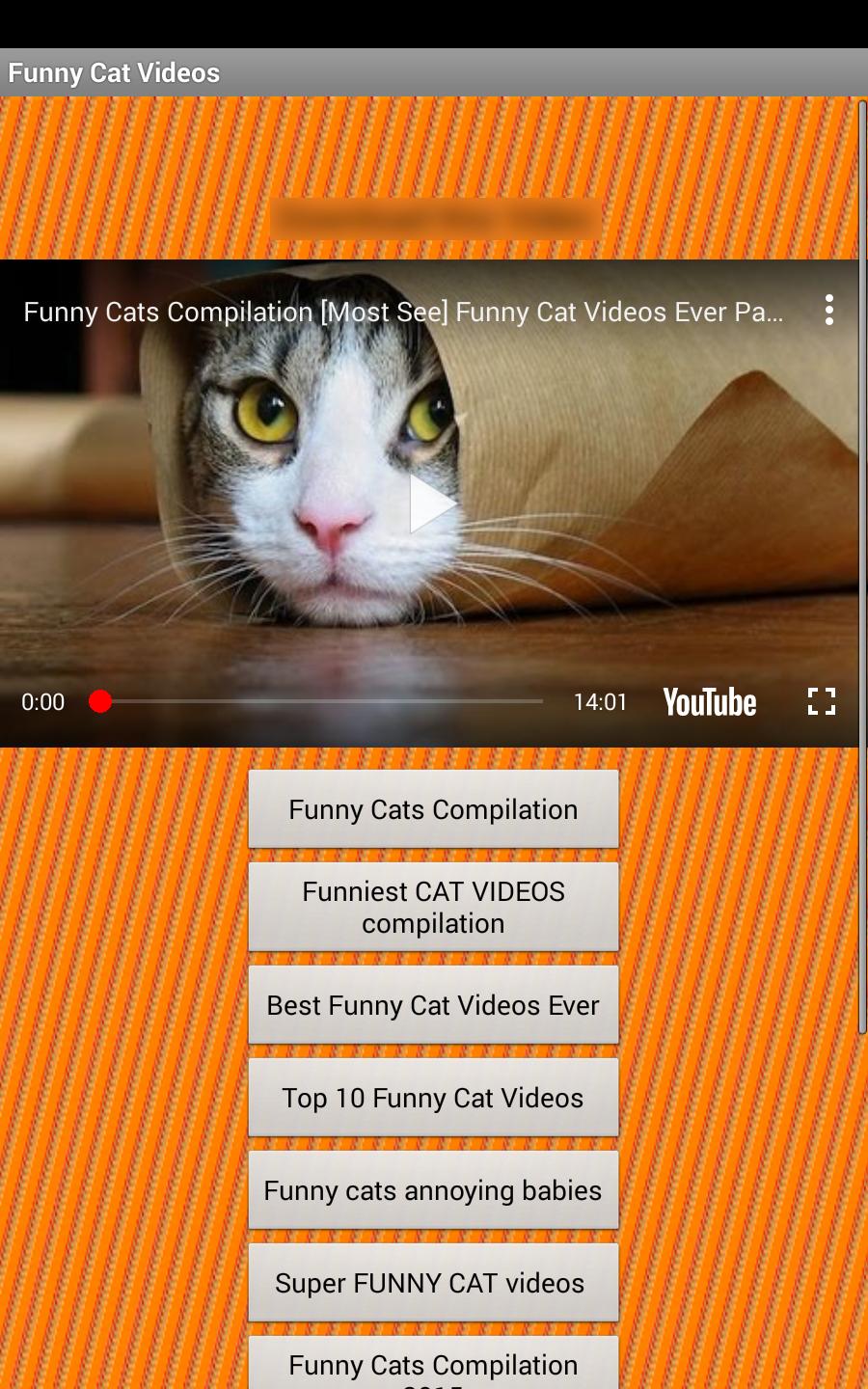 Cat Videos APK for Android Download
