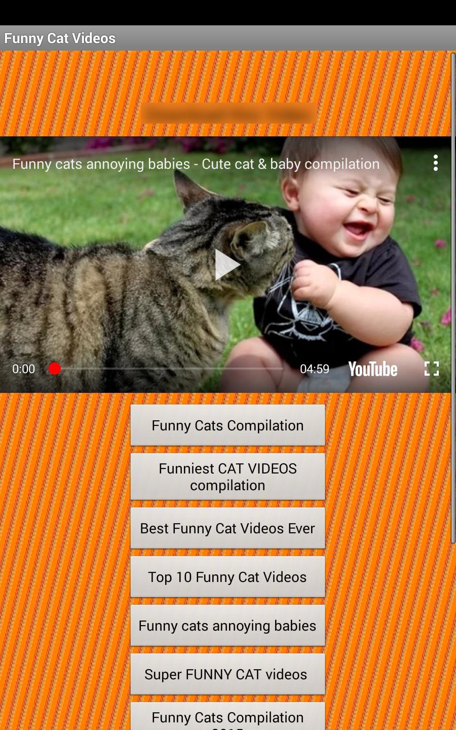 Cat Videos APK for Android Download Cat Videos APK for Android Download