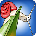 Snail Race